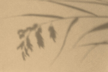 Shadows nature light beige background. Neutral contrast design made of dry grass. Fashionable earthy decorative shades. Calm natural pastel design. The concept of the beauty of the earth. Copy space