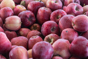 Red apples background. Fresh apples variety grown in the shop. Apple suitable for juice, strudel, apple puree, compote