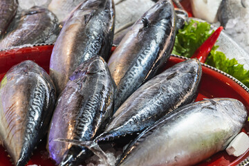 Close-up, fresh organic mackerel fish in the fresh market, background. Texture of sea fish. Lots of...