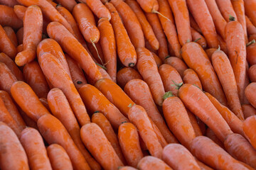 Close up of the orange carrot  ,  background. Fresh   carrot  variety grown in the shop. Tasty and healthy food