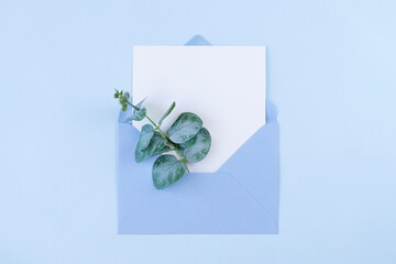 White blank card in blue envelope with eucalyptus leaves on blue background