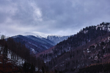 Fototapeta premium beautiful mountain landscape in winter in the Carpathian mountains Romania