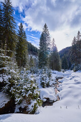 winter images with a mountain river. idyllic landscape