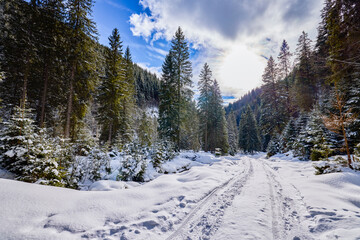 Fototapeta na wymiar beautiful mountain landscape in winter in the Carpathian mountains Romania