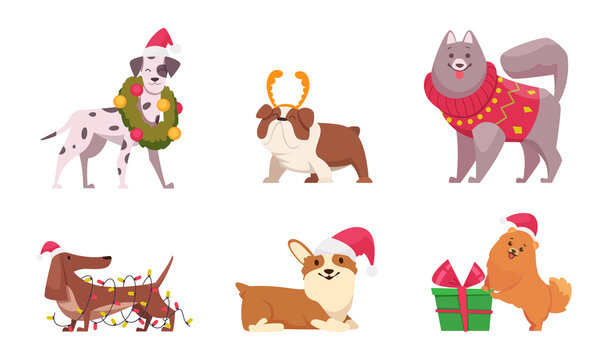 Christmas dogs. Funny domestic animals puppy in sweater and scarf preparing to new year holiday winter clothes for dogs exact vector cartoon characters