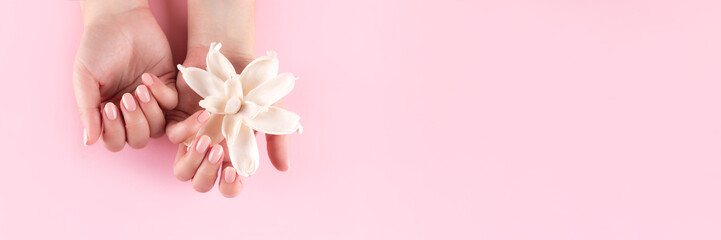 Obraz na płótnie Canvas Female hands with beautiful natural manicure - pink nude nails with white dried flower on pink background. Nail care header. Wide screen, panoramic web banner with copy space for design