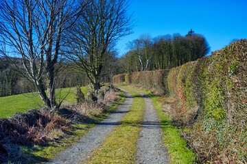 Fototapeta na wymiar track in countryside