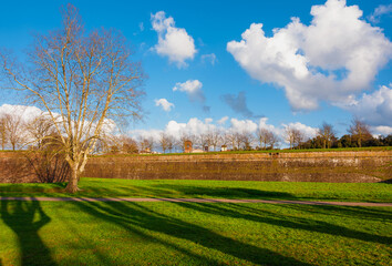 Winter in Lucca. View of the ancient city walls with bare tree branches