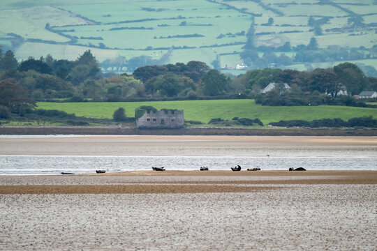 The Great Seal Bank In Sligo - Ireland