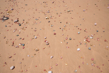 sandy background with lots of colorful stones