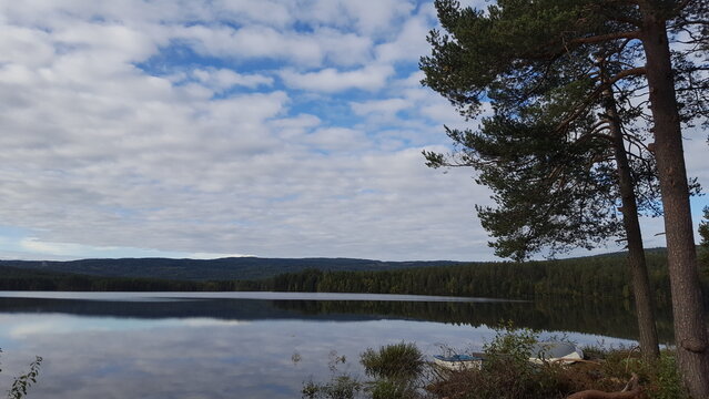 Vann Bilder – Durchsuchen 155 Archivfotos, Vektorgrafiken und Videos ...