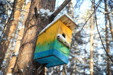 Colored wooden handmade birdhouse on a tree in the forest. Selective focus