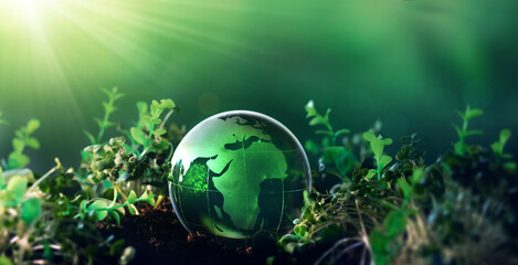 Planet Earth from crystal on green sunny background. Environmental  and Earth Day Concept.