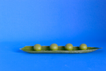 Organic green peas, freshly picked and peeled from the pod, isolated on the blue background....