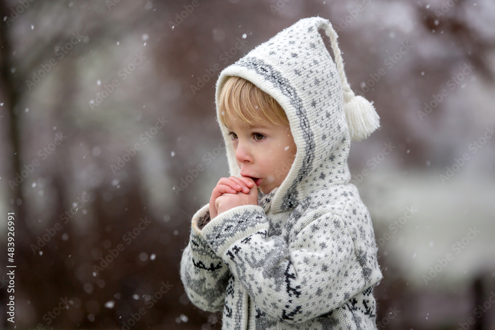 Canvas Prints Beautiful blond toddler child, boy, with handmade knitted sweater playing in the park with first snow