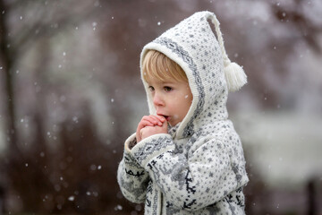 Beautiful blond toddler child, boy, with handmade knitted sweater playing in the park with first snow