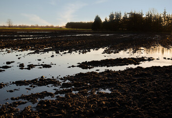 Field in a spring time.