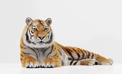 Zelfklevend Fotobehang Tiger portrait isolated on white © Photocreo Bednarek