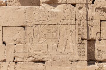 Ancient egyptian hieroglyphs carved on the stone wall in the Karnak Temple, Luxor, Egypt