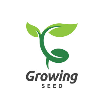 growing seed logo design