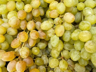 large horizontal photo. grape. seasonal autumn fruits. bunch of white sweet grapes close up....