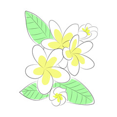 floral background with flowers line illustration highlight everlasting stories cover icon inspiration hawaii flowers yellow middle outline white background botanical ornament ecology plant plumeria 
