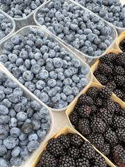 large vertical photo. blueberries and blackberries in plastic containers. containers with berries standing diagonally. photo above. healthy natural berries. eco.