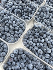 large vertical photo. lots of blueberries in plastic containers. containers standing diagonally. photo above. healthy natural berries. eco.