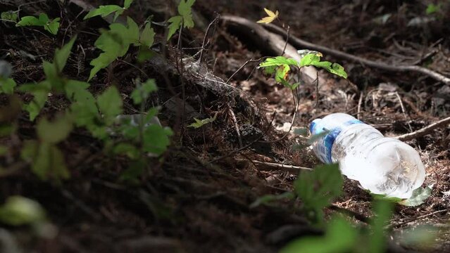 Water bottle trash in the forest