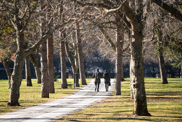 Fototapeta premium Couple walks in the park after work