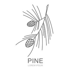 Pine brahcn with pine cones line symbol. Isolated vector illustration of icon.