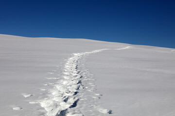 Idyllic winter scene with footpath in the snow. Seiser Alm. South Tyrol. Italy
