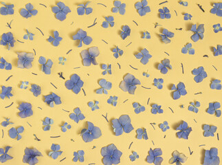 Creative pattern of blue  flowers on beige, yellow background. Minimal concept, flat lay.