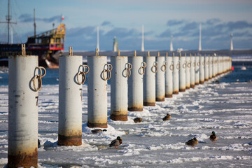 Gdynia Skwer Kościuszki port jachtowy w zimie olodzone morze Bałtyckie 