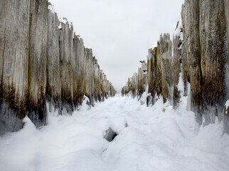 Fototapeta na wymiar Drewniane pale zima w Gdyni Babie Doły