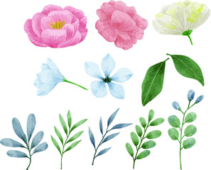 Beautiful flower vector element with elegant color peach navy blue yellow and white