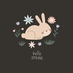 hello spring. Cartoon bunny, flowers, hand drawing lettering, decoration elements. colorful spring vector illustration, flat style. design for print, greeting card, poster decoration, cover