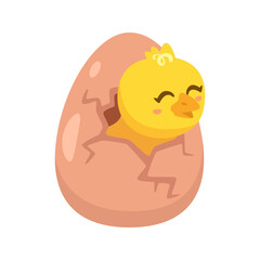 yellow chick breaks free of the shell