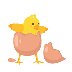 yellow chick breaks free of the shell