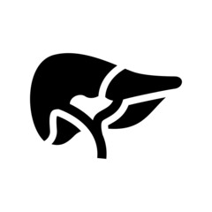 Liver icon isolated on white background