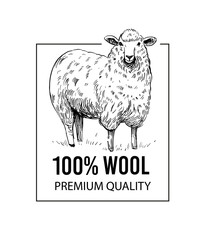 Fototapeta premium Sheep. Vector illustration. Black outline on a transparent background