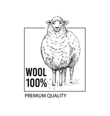 Sheep. Vector illustration. Black outline on a transparent background