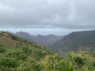 landscape in the morning
