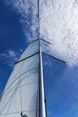 Sail and mast in the  Morbihan gulf