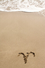 Horoscope signs on sand. 