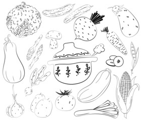 Fototapeta premium Hand drawn vegetable on white background. Traditional Doodle food sketch. Vector sketch illustration. Line art.