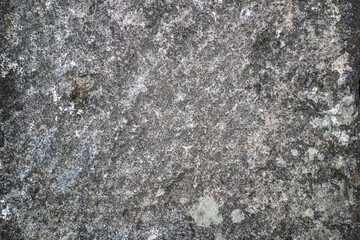 Grunge black and white cement wall texture background