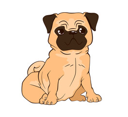 A small funny pug puppy with floppy ears sits on its hind legs. Vector illustration in cartoon style, black and white line