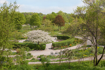 park landscape in spring, Westpark munich, recreational area - obrazy, fototapety, plakaty