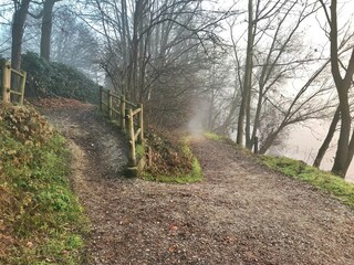 path in the woods - Pavia - Italy